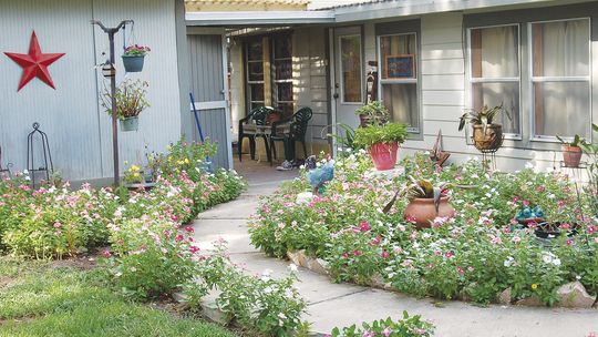Columbus Garden Club announces August award