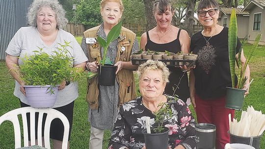 Columbus Garden Club spectacular annual plant sale