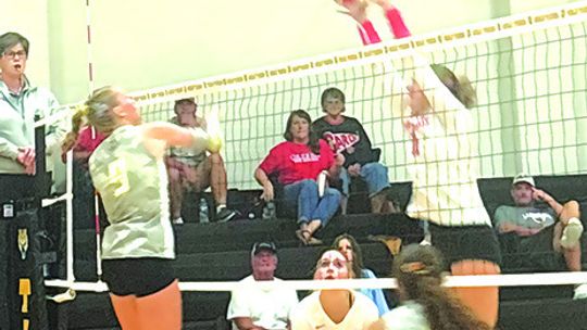 Columbus volleyball beats Sealy in three sets