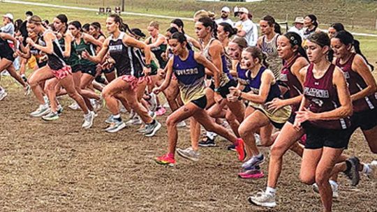 Cross Country Results