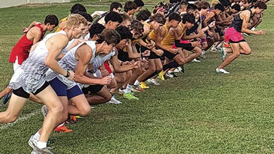 Cross Country Results