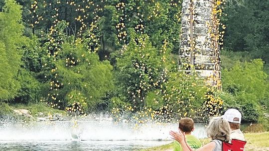 Duck Derby makes waves for education