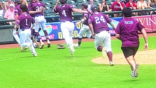 Fayetteville Lions win state crown