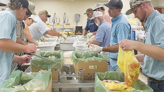 Feasts, Festivals and Fundraisers after a winter’s drought