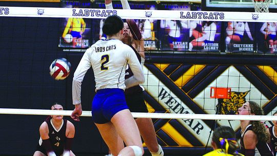 Flatonia beats Weimar with Sweep