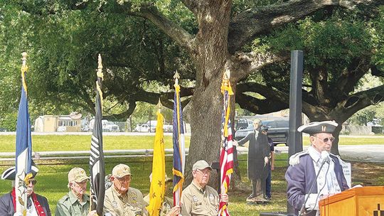 Live Oak designated as Liberty Tree