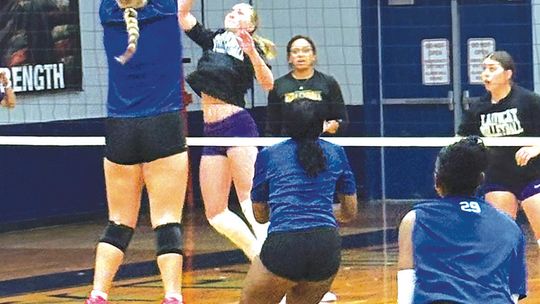 Rice and Weimar volleyball start season with scrimmage