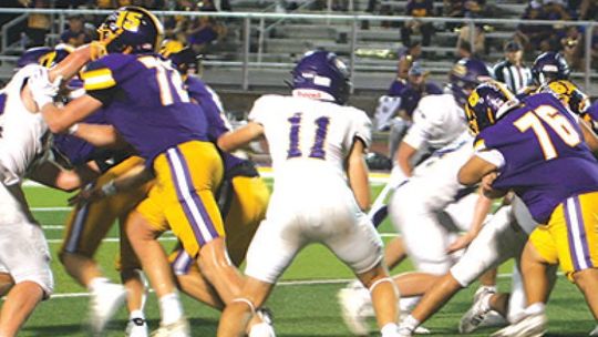 Weimar Wildcats run into dominant Shiner team