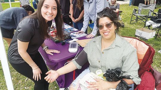 Wellness Council holds annual health fair on courthouse square