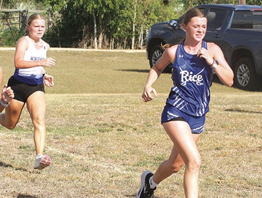 Area teams class for cross country meet at Schulenburg