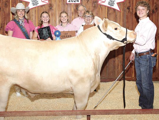 Austin County Fair Youth Auction Sale brings in over $2 million breaking two records