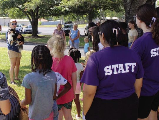 Award-winning dog trainer and agility competitor gives tips