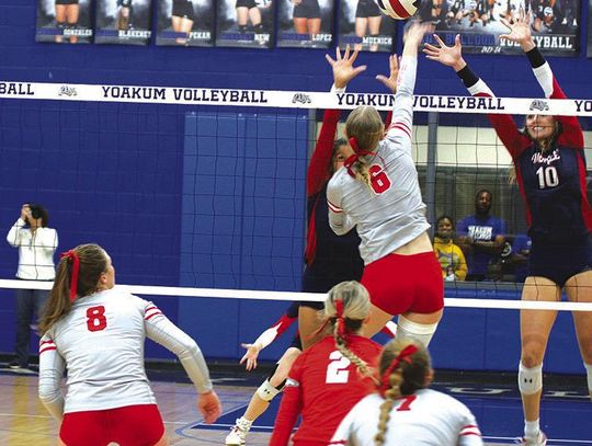 Bellville volleyball falls to Wimberley in three sets