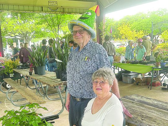 Bluebonnet Master Gardeners' plant sale growing like a weed