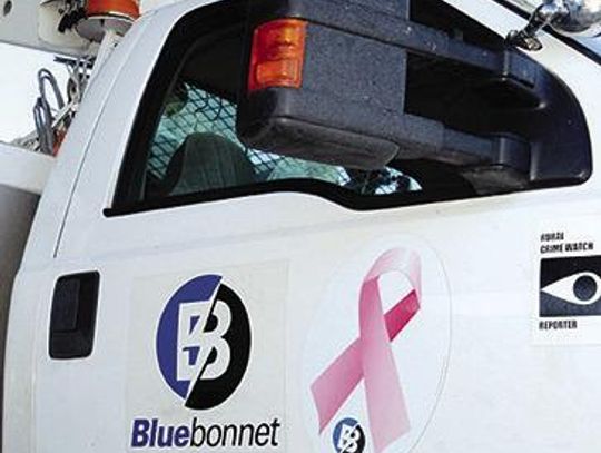 Bluebonnet puts on pink