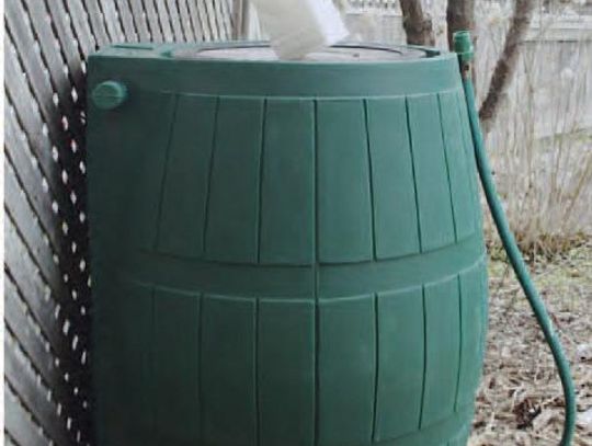 Catching rain in a bucket