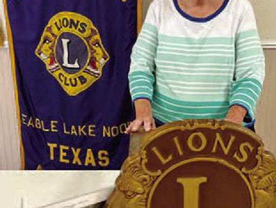 Christine Owen gives talk at EL Noon Lions Club