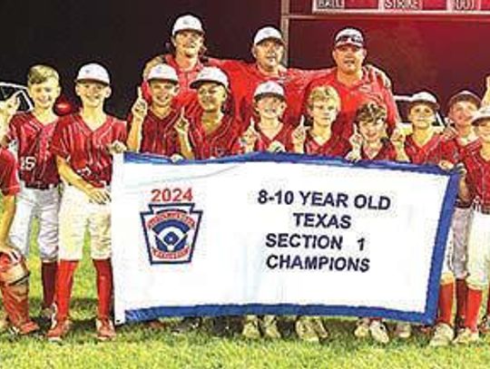 Columbus 10u Minor All-Stars fall short of state title