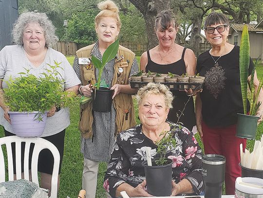 Columbus Garden Club spectacular annual plant sale