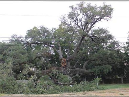 Columbus landmark sheds a limb