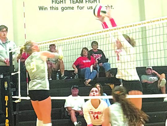 Columbus volleyball beats Sealy in three sets