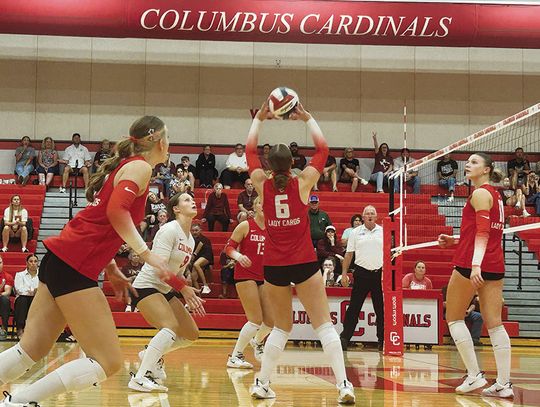 Columbus volleyball looking state caliber