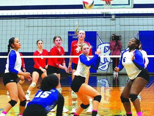 Columbus volleyball slaughters Rice for sweep