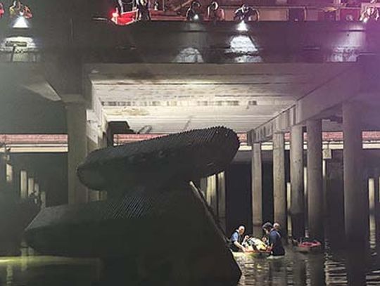 Crane accident triggers water rescue on I-10