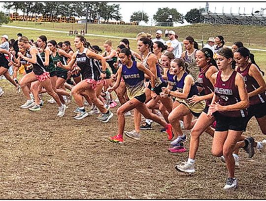 Cross Country Results