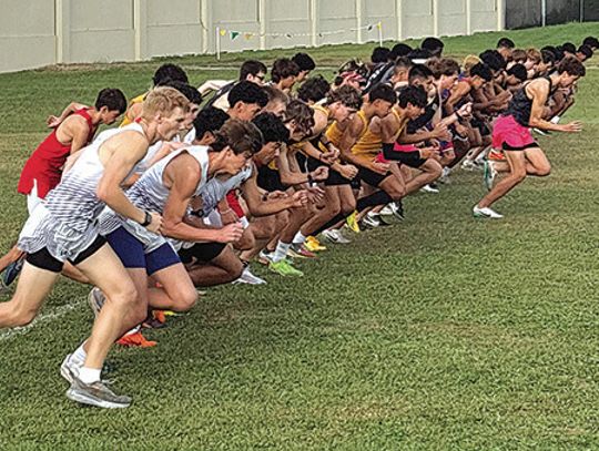 Cross Country Results