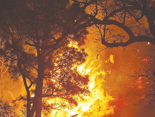 Downed power line sparks blaze at Whirling Pines