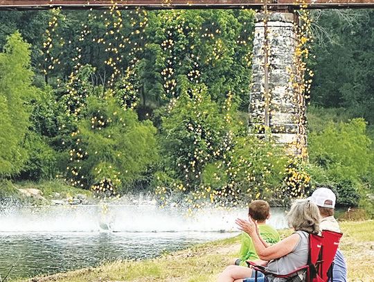 Duck Derby makes waves for education