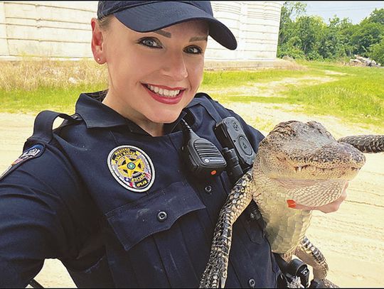EL PD Officer Stephanie Joseph wrangles local wildlife