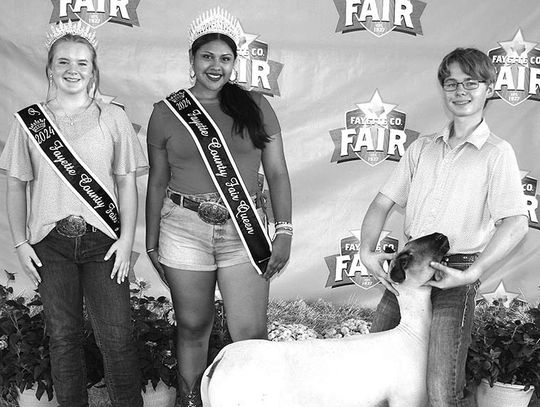 Fayette County Fair Livestock results