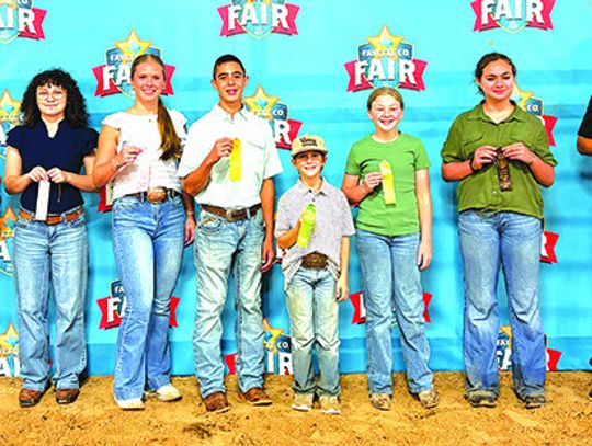 FAYETTE COUNTY FAIR LIVESTOCK RESULTS