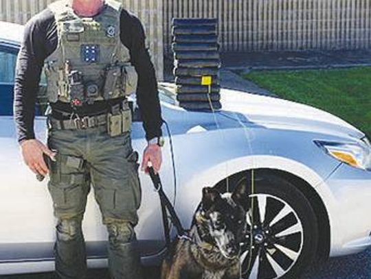 Fayette County Narcotics K-9 Unit seizes 12 kilos of cocaine on traffic stop