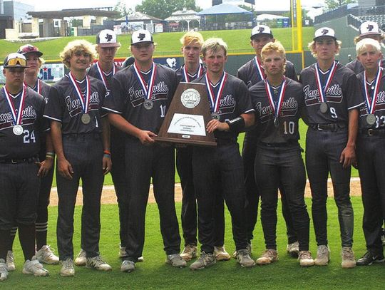 Fayetteville Lions defeated by Abbott in state championship despite epic comeback