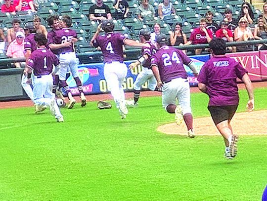 Fayetteville Lions win state crown
