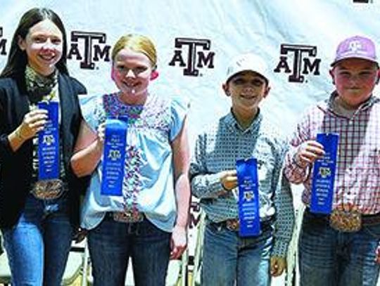 FC 4-H compete in Texas A&M Aggiefest Livestock Judging Contest