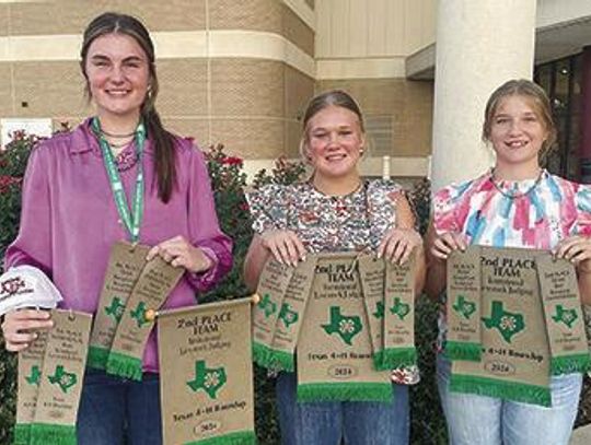 FC 4-Hers compete in Roundup