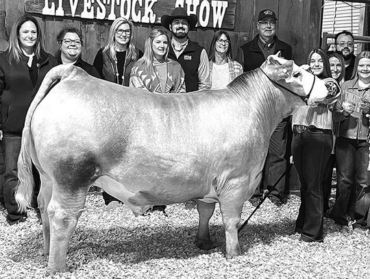 Flatonia Livestock Show
