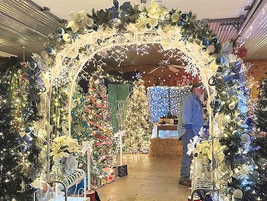 Hidden Christmas Gem in Fayetteville exudes Christmas spirit