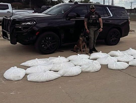 K-9 Knox knocks down 200 kilos of crystal meth