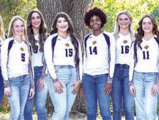 La Grange, Schulenburg volleyball earns AVCA academic honors