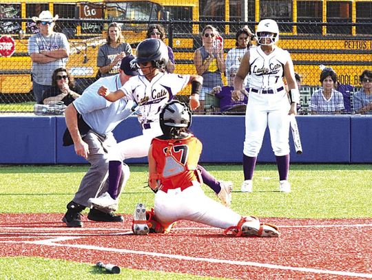 Lady Cats advance in softball playoffs