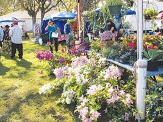 Lickskillet Days Festival ends on another successful year