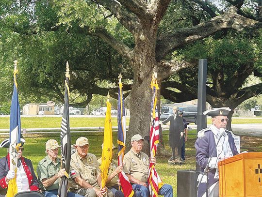 Live Oak designated as Liberty Tree