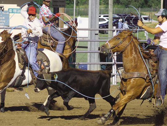 Pullin’ tails and wranglin’ steers