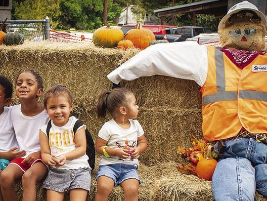 Pumpkin Patch fundraiser a success