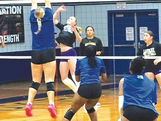 Rice and Weimar volleyball start season with scrimmage